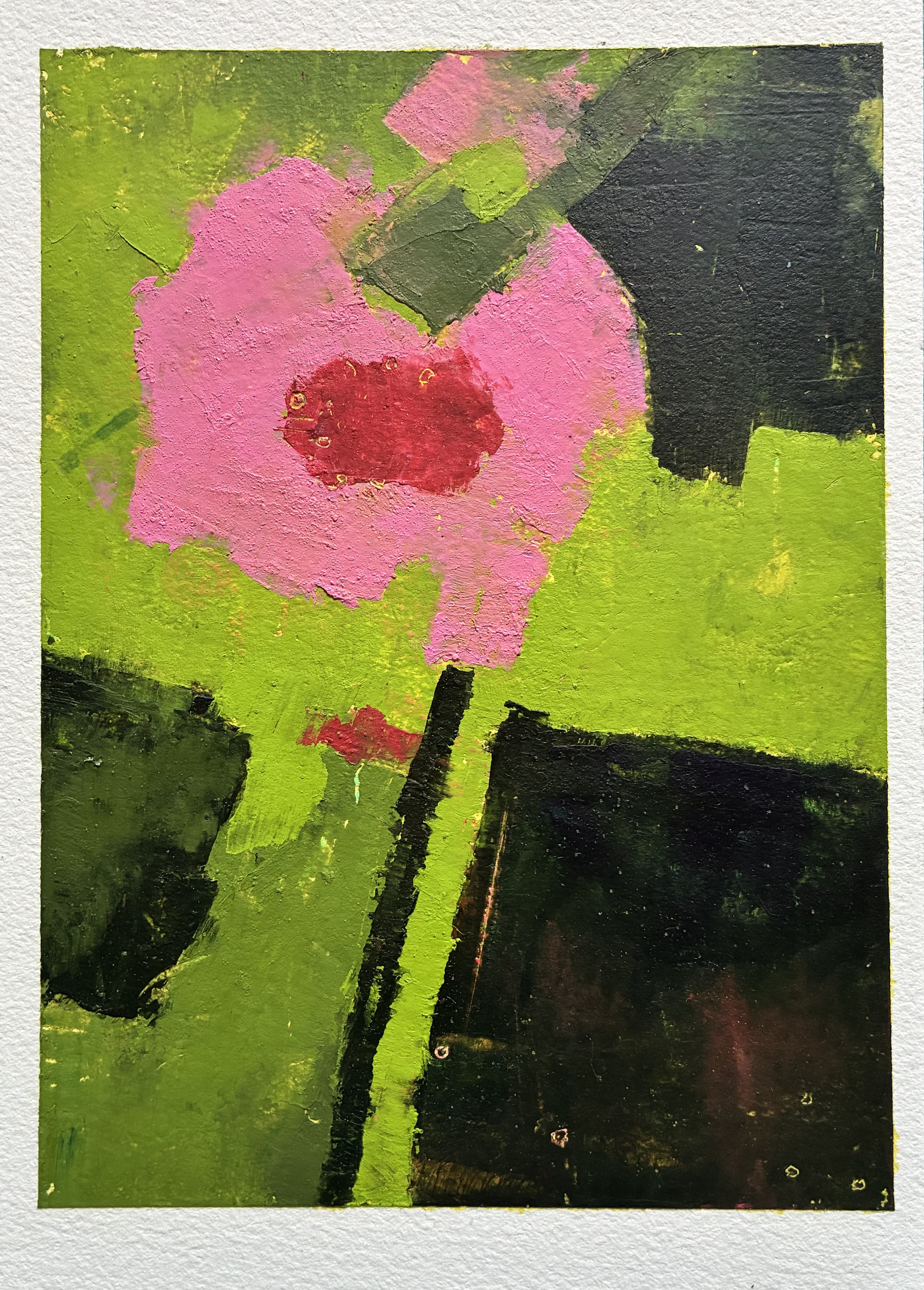 blossom, 2025